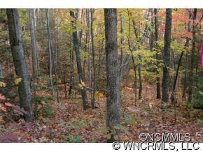lot 44 Ridge Vista Rd Unit 44, Gerton, NC 28735