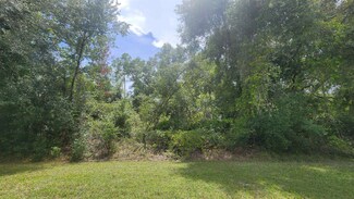 00 Georgetown Point Rd, Georgetown, FL 32139