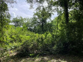 0 Varner St, Eclectic, AL 36024