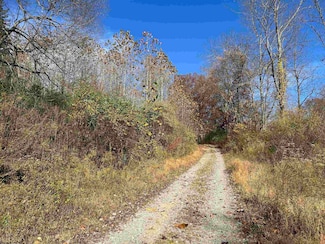 TBD Pyles Ave, Mannington, WV 26582