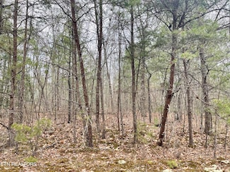 327 Bainbridge Rd, Crossville, TN 38558