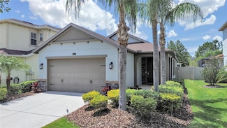 4063 Medicci Ln, Wesley Chapel, FL 33543