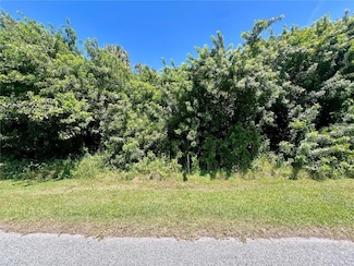 48 Ramblewood St, Port Charlotte, FL 33953