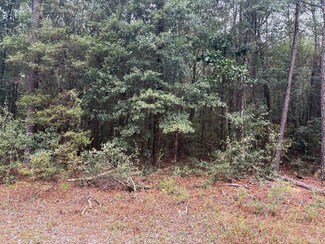 3099 Zach Ave, Crestview, FL 32536
