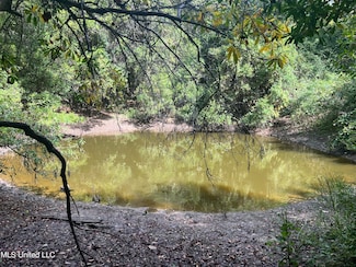 0 Little Creek Rd, Beaumont, MS 39423