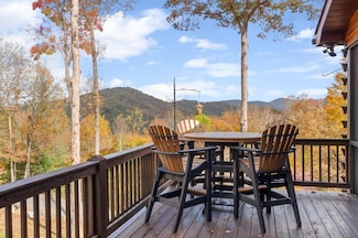 247 Toccoa Overlook Dr, Blue Ridge, GA 30513