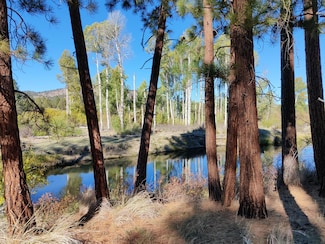 0 Hwy 140 E Unit Lot 100 220190128, Beatty, OR 97623