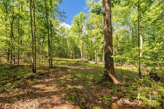 5212 Star Magnolia Ct, Clover, SC 29710