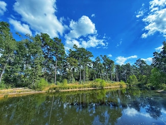 19.5 ac Fm 3178, Centerville, TX 75833