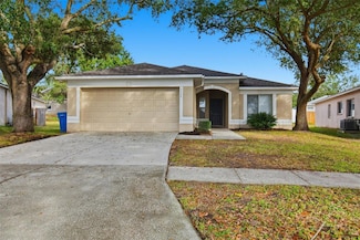 3144 Summer House Dr, Valrico, FL 33594