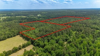 TBD Tract 13 County Road 3273, Quitman, TX 75783