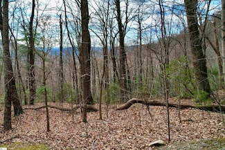 1329 Panther Park Trail, Travelers Rest, SC 29690