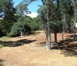 0 Cresthaven Dr Unit 20240454, Groveland, CA 95321