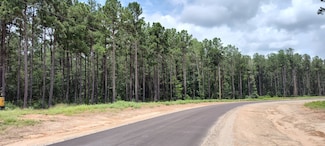 107 Henry Stuart Ct, Huntsville, TX 77340