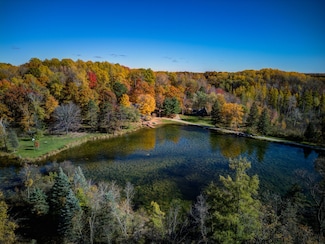 100 E Adams Rd, Farwell, MI 48622