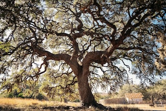 0000 Toutant-Beauregard, San Antonio, TX 78255