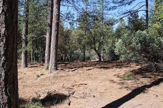 3651 Dogwood Ln, Placerville, CA 95667