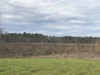000 Cowardtown Rd, Lena, MS 39094