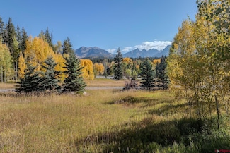 75 Falcon Ridge Rd, Durango, CO 81301