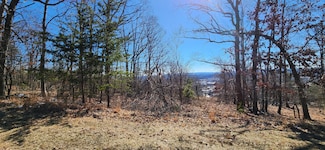 Lot 46 Summit Dr, Rocky Mount, VA 24151