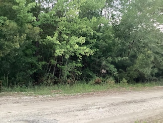 0 Cottage Ln, Saint Stephen, SC 29479