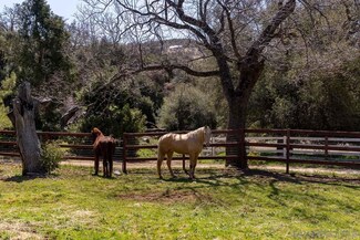 5867 Forest Meadow Rd Unit 15, Julian, CA 92036