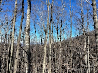 000 MacAllan Dr Unit 14, Waynesville, NC 28786
