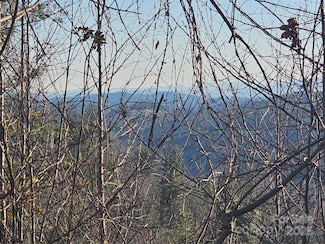 1820 Grapevine Rd, Marshall, NC 28753