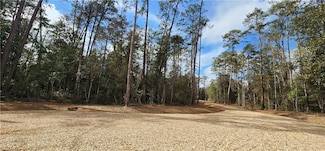 19576 Southern Pine St, Covington, LA 70435