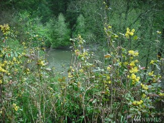 8534 Thuja Ave SE, Yelm, WA 98597