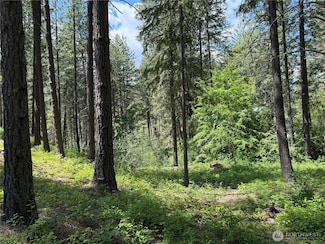 11 Highland Meadow Rd, Winthrop, WA 98862