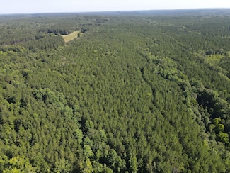 18121 Jordan Grove Road Exd, Dozier, AL 36028