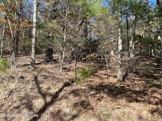 0 Zachery Rd Unit 25-286, Shickshinny, PA 18656