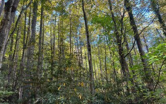 TR 1 Tusquittee Rd, Hayesville, NC 28904