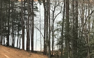 LT 67 Notla Landing Ln, Blairsville, AL 35012
