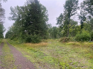 On Dolan Rd, Draper, WI 54896