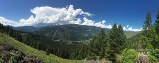 17.11 AC N Elk Lake Rd, New Meadows, ID 83654