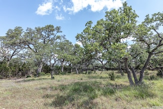 664 Annabelle Ave, Bulverde, TX 78163