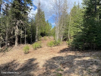 NNA Upper Gold Creek Rd, Sandpoint, ID 83864