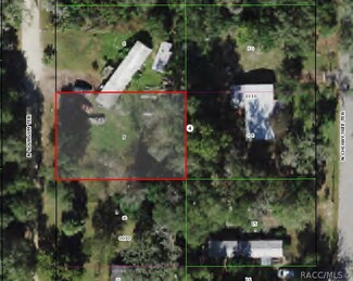6569 N Sourgum Terrace, Hernando, FL 34442