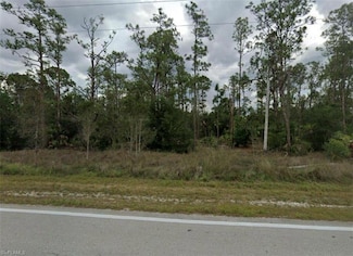 602 W 10th St, Lehigh Acres, FL 33972