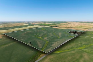 NKA E Whittier Rd, Spangle, WA 99031