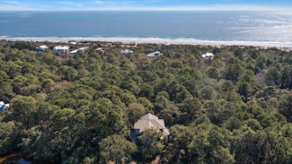 252 Pelican Flight Dr, Dewees Island, SC 29451