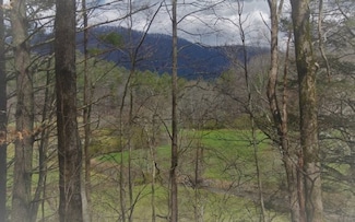7.76 Parker, Suches, GA 30572