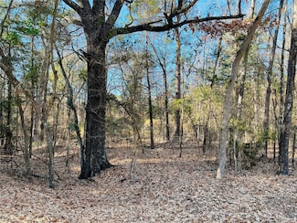 Lot 32 & 33 Winding Ln, Mount Vernon, TX 75457