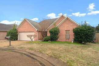 6846 Baywood Cove, Millington, TN 38053