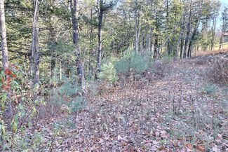 0 Rowell Hill Rd Unit 4894946, New London, NH 03257