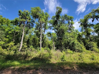 TBD SW 15th Place, Ocala, FL 34481