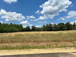 23 Hazelwood Dr, Lake Cormorant, MS 38641
