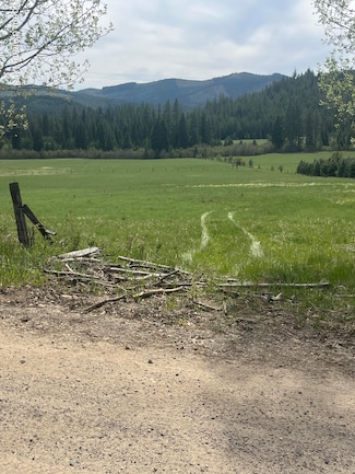 NKA 100 Windfall Pass Rd, Saint Maries, ID 83861